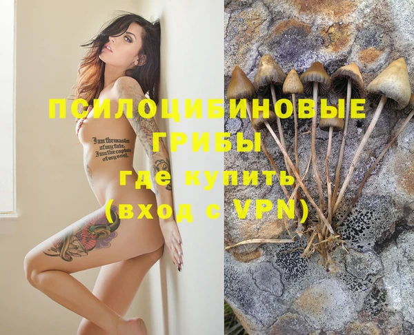mdma Инсар