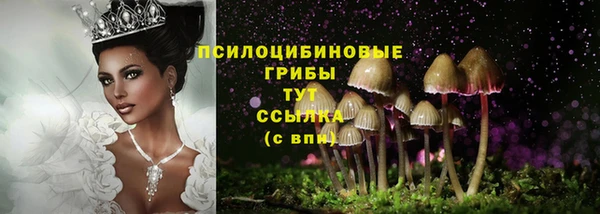 прущая мука Иннополис