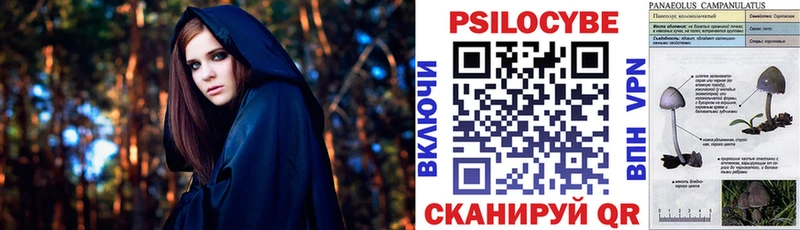 Псилоцибиновые грибы Cubensis  Купить где  Первоуральск 